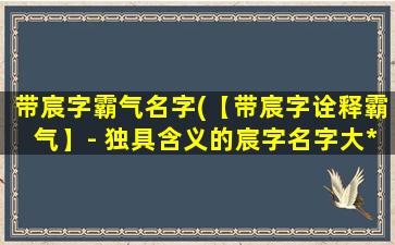 带宸字霸气名字(【带宸字诠释霸气】- 独具含义的宸字名字大*)